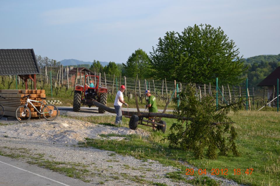 Postavljanje mlaja 2012 - foto povečava