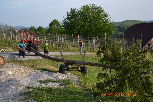 Postavljanje mlaja 2012 - foto