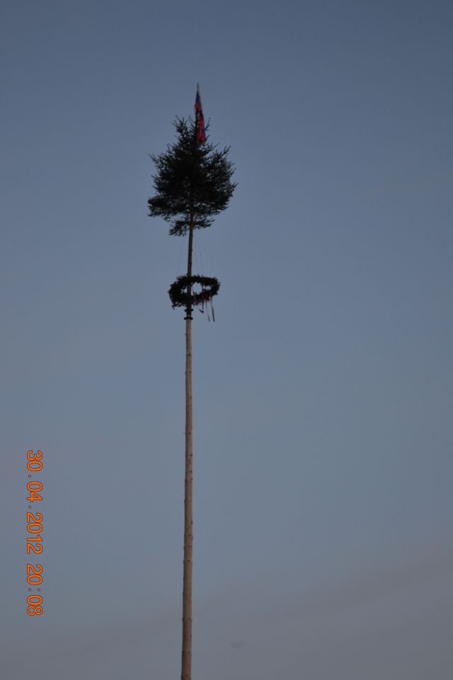 Postavljanje mlaja 2012 - foto povečava