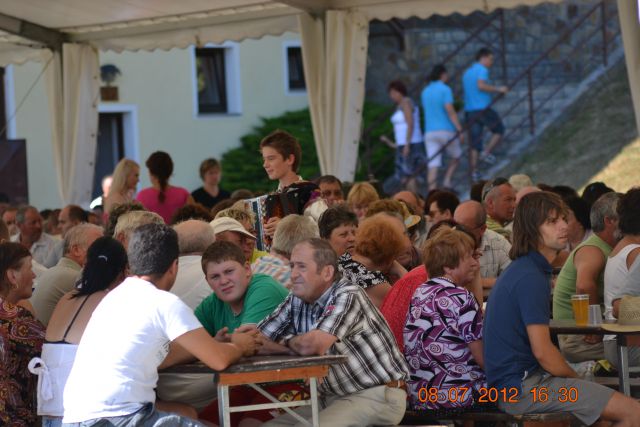 Srečanje muzikantov 2012 v Dolgi Gori - foto