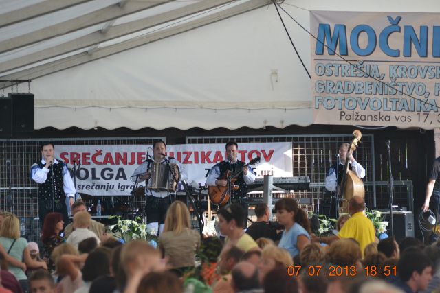 Srečanje muzikantov 2013 v Dolgi Gori - foto