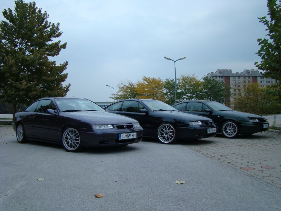 Calibra meet - foto povečava