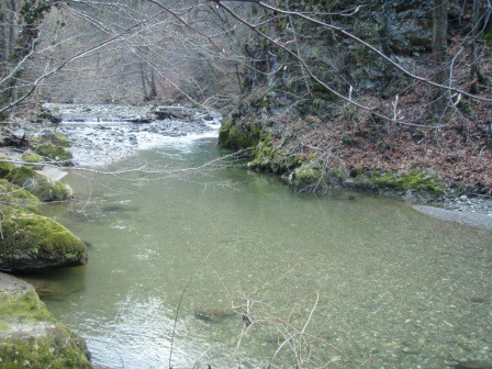 GRAČNICA - FEBRUARJA - foto povečava