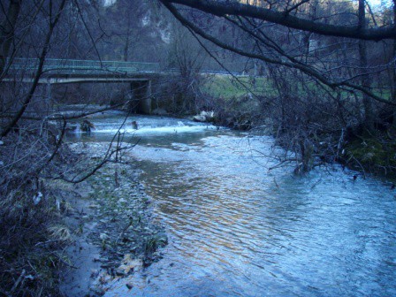 GRAČNICA - FEBRUARJA - foto povečava