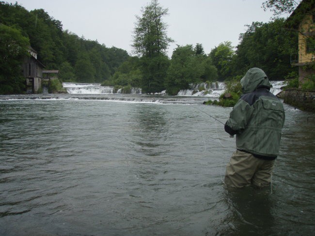 KRKA 5.6.2008 - foto povečava