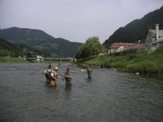 Savinja muharjenje klena - foto