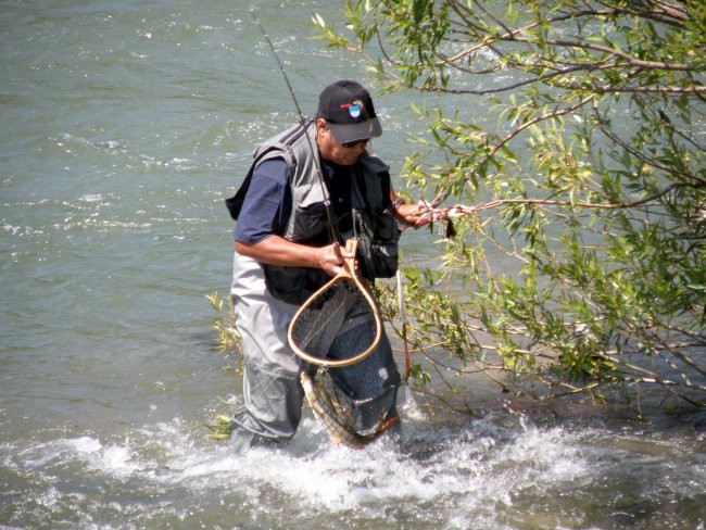 Muharjenje Savinja 26.7.2008 - foto povečava