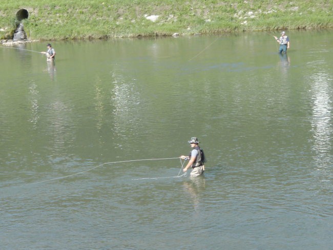 Muharjenje Savinja 26.7.2008 - foto povečava