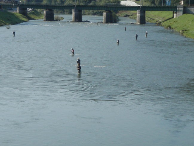 Muharjenje Savinja 26.7.2008 - foto povečava