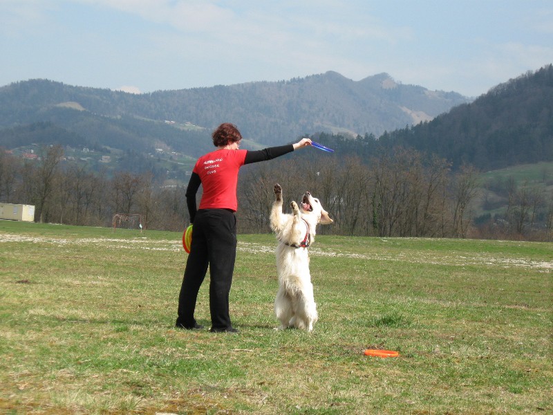 Frizbi trening 04.04.2009 - foto povečava