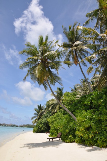 Maldivi 2009 - foto