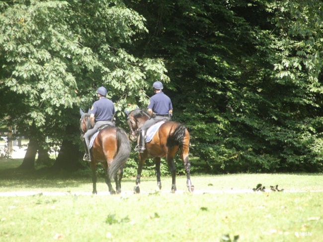 2006-06-23 -zadnji dan - foto povečava