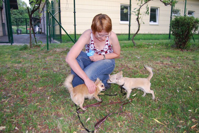 :: maricka & alf & SIRCEEEEK ::