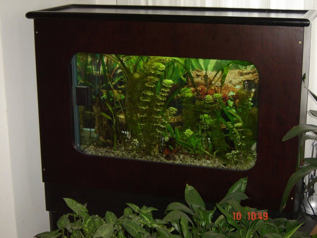 Akvarij 160L - foto povečava