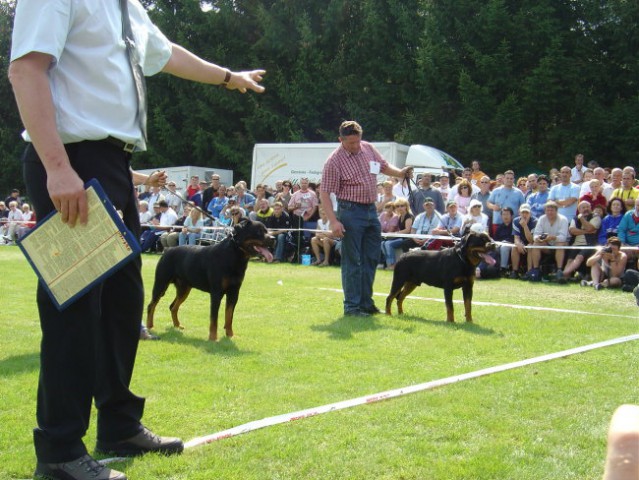 Valentino (levo) in Filou (desno)