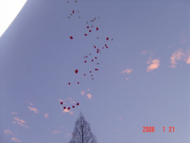 Vsi baloni so hitro poleteli proti nebu