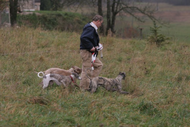 Coursing žaga  - foto