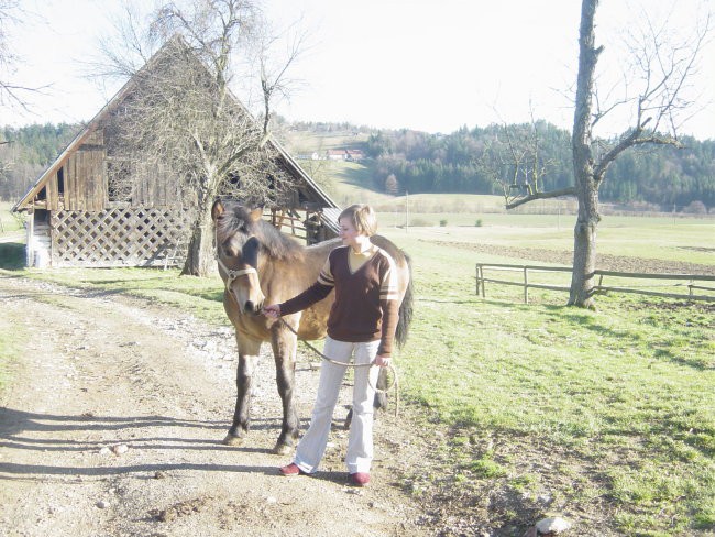 Moji konji - foto povečava