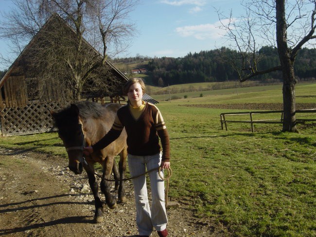 Moji konji - foto povečava