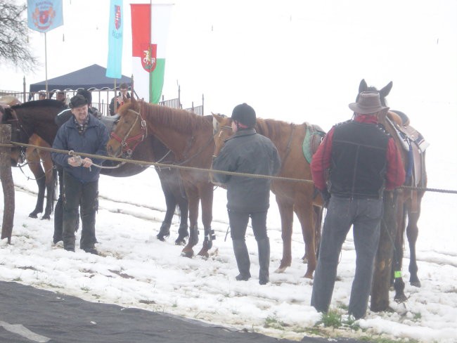 Žegnanje konj Sv. Primož, 2008 - foto povečava