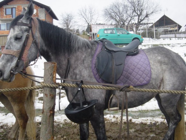 Žegnanje konj Sv. Primož, 2008 - foto