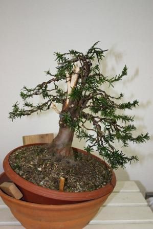 tisa_2010_po_obdelavi