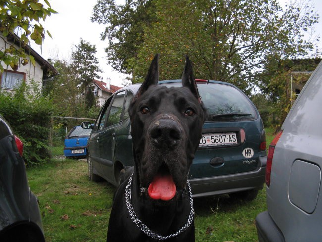 kuv!