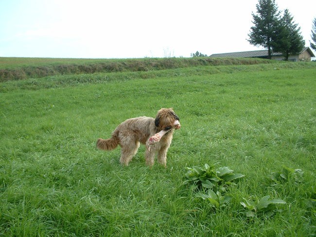 KELLY - foto povečava