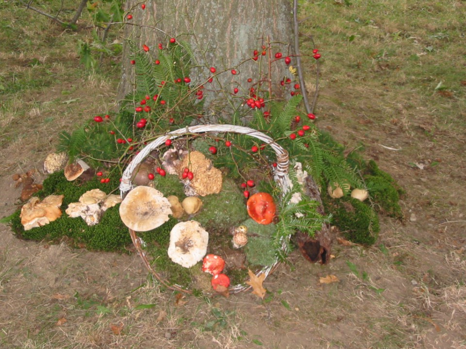 OBISK PIKINEGA FESTIVALA 2008 V VELENJU - foto povečava