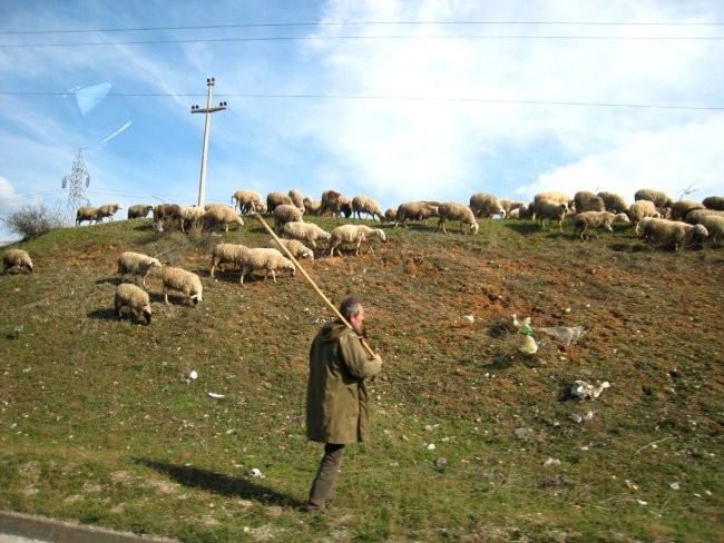 Bitola - marec 2008 - foto povečava