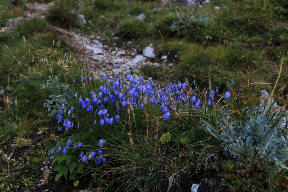 2018_08_13 Vrtača ( 2181 m ) - foto povečava