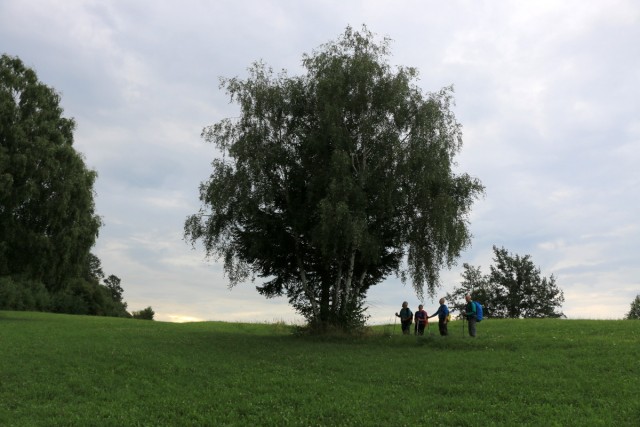 2018_08_14 Veliki Javornik ( 1023 m ) Bohor - foto