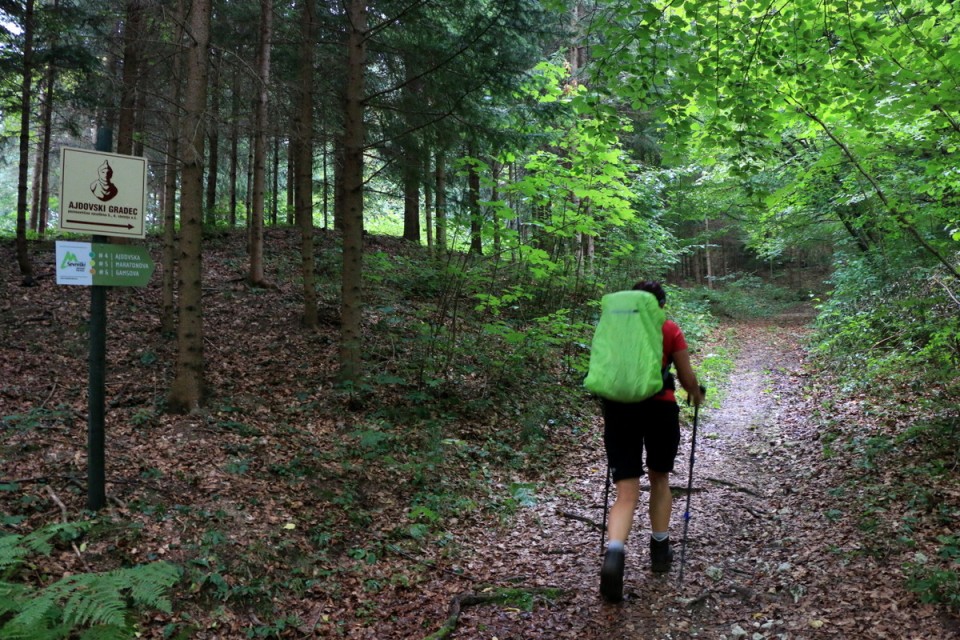 2018_08_25 Sevniški planinski maraton - foto povečava