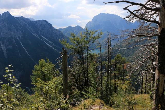 2018_08_18 Italija-Kraljevska špica (1912 m ) - foto