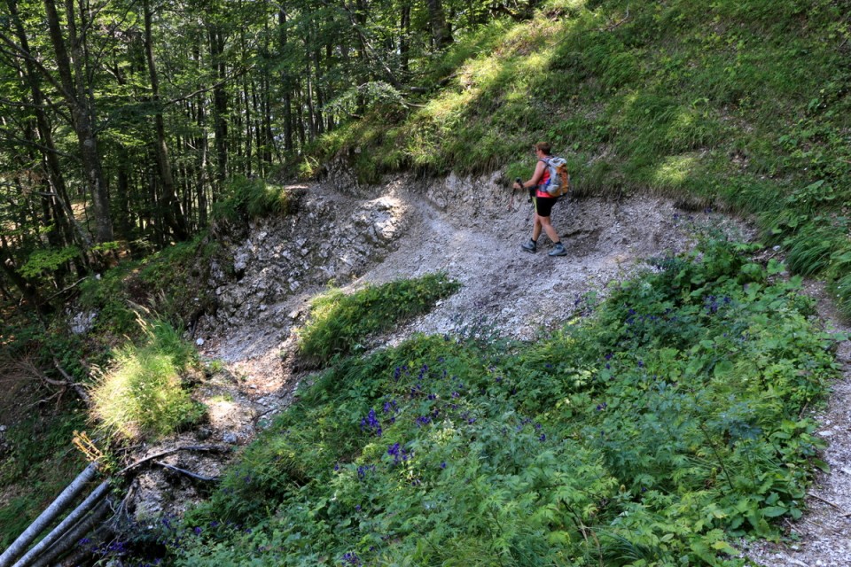 2018_08_18 Italija-Kraljevska špica (1912 m ) - foto povečava