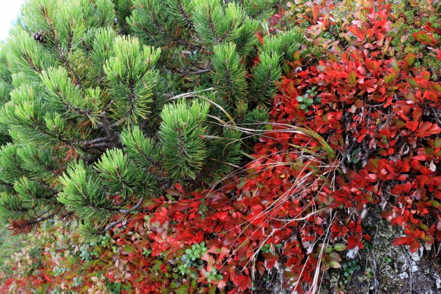 2018_09_16 Vajnež ( 2104 m )  - foto