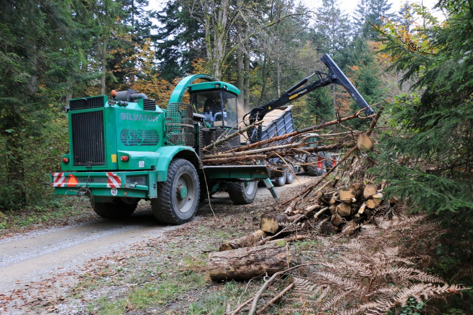 2018_10_16 Soteska Pekel pri Borovnici - foto povečava