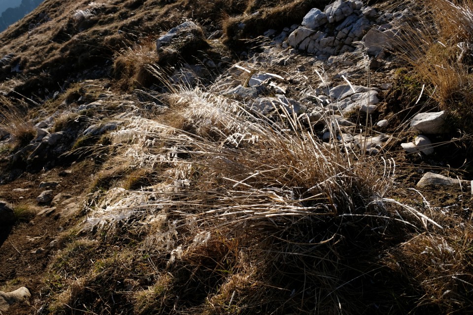 2018_11_17 Planjava ( 2392 m ) čez Repov kot - foto povečava