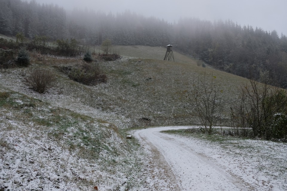 2018_11_19 Lisca - pot po okolici lLsce - foto povečava