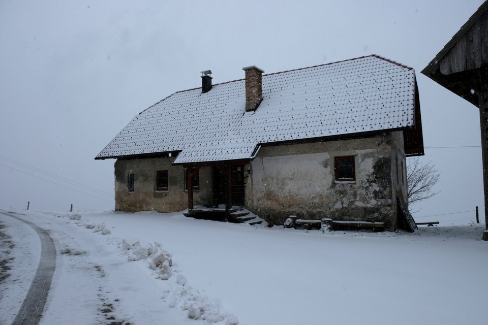 2018_11_20 Lisca iz Krakovega - foto povečava