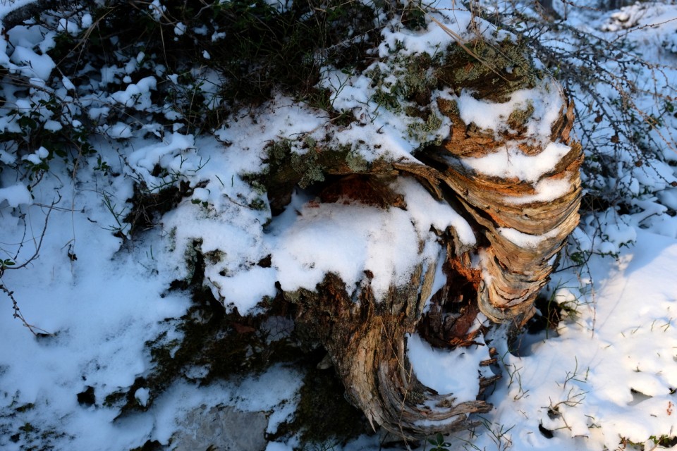 2018_12_09 Dleskovec ( 1965 m )  - foto povečava