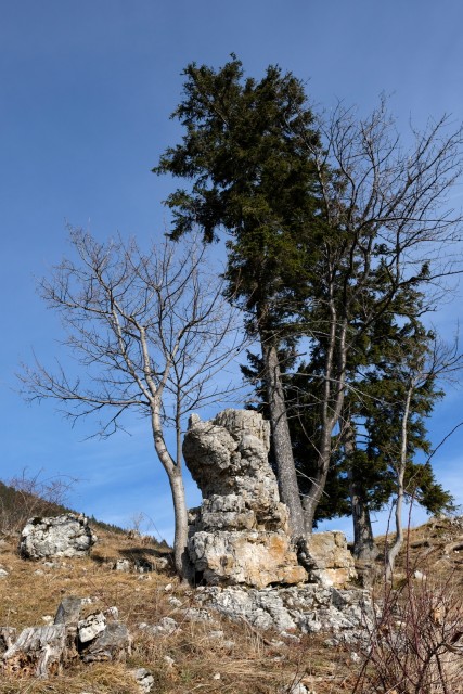 2019_01_01 ( Uršlja gora ( 1699 m ) - foto