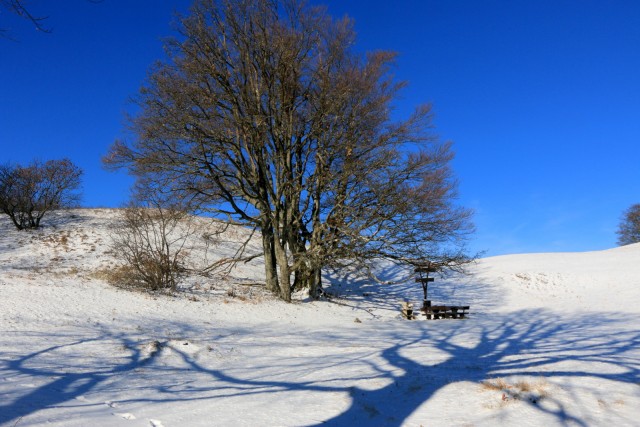 2019_01_04 Lisca - letošnji prvi sneg - foto