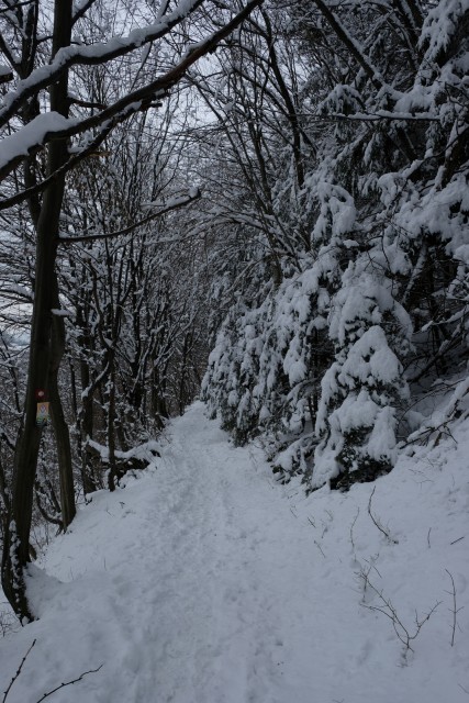 2019_01_22 Reška planina ( 925 m ) - foto