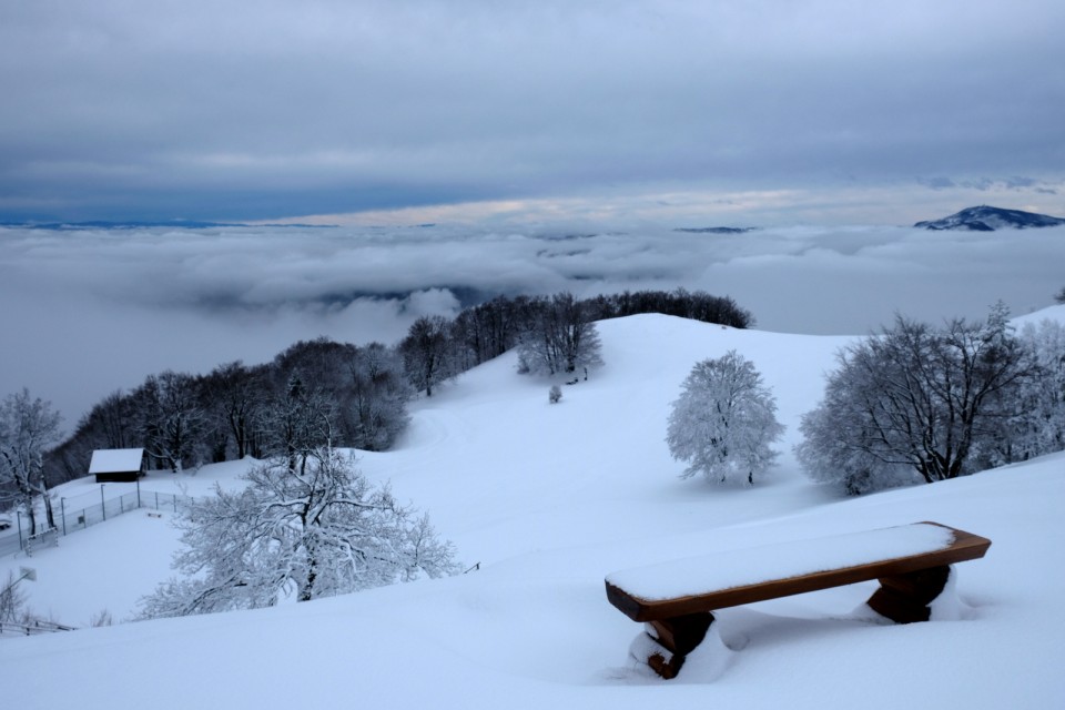 2019_02_11 Lisca - foto povečava