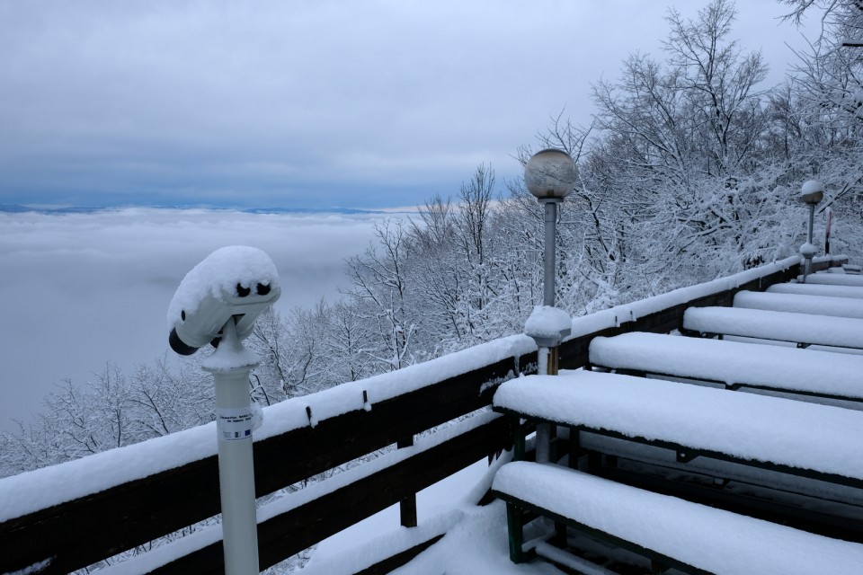 2019_02_11 Lisca - foto povečava