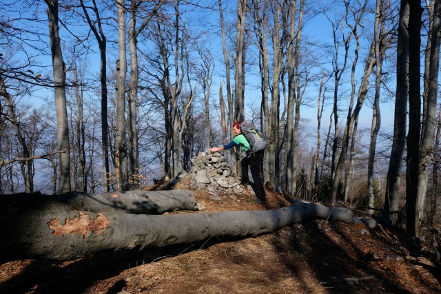 2019_02_19 Čemšeniška planina ( 1204 m )  - foto