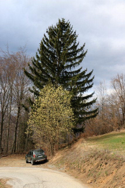 2019_03_10 Veliki Javornik ( 1023 m ) - foto