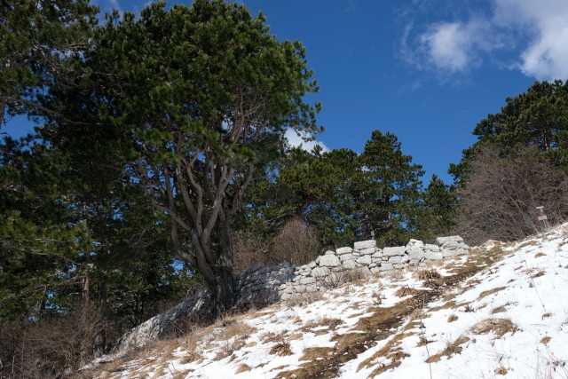 2019_03_26 Kucelj in Koča Antona Bavčerja na  - foto