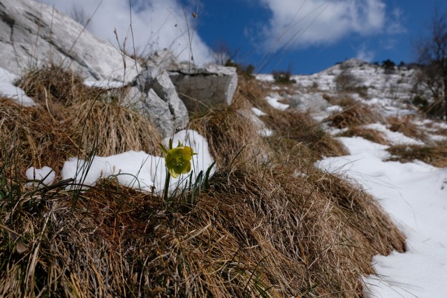 2019_03_26 Kucelj in Koča Antona Bavčerja na  - foto